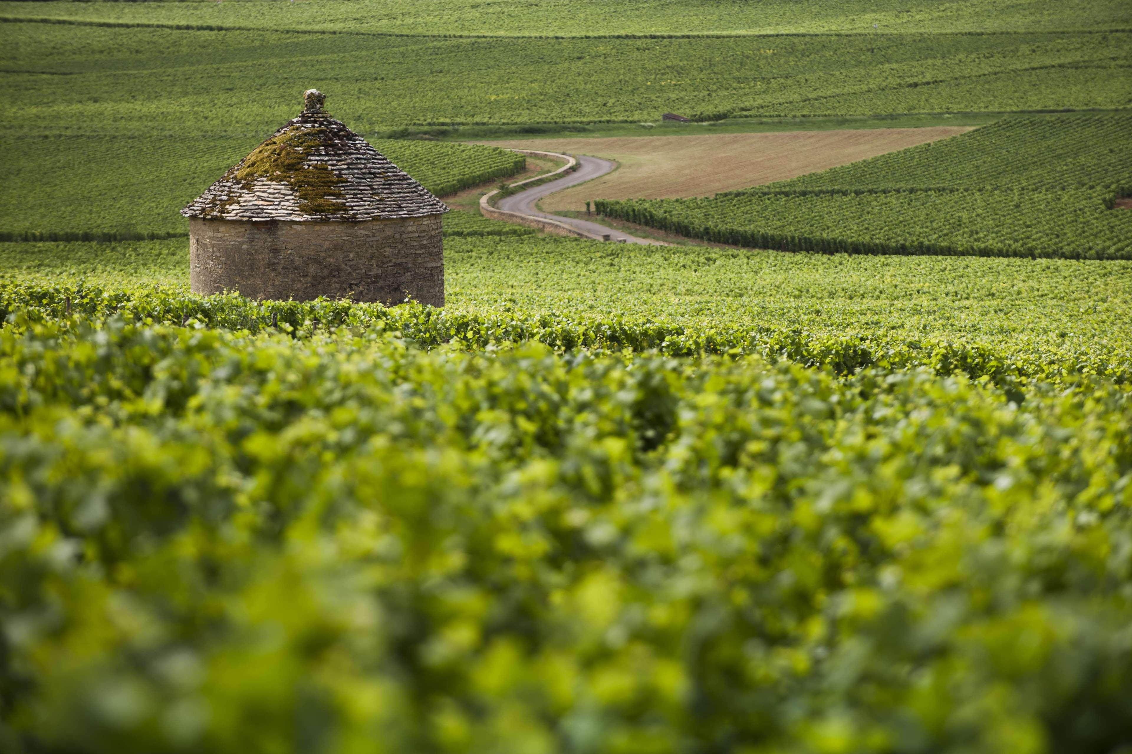 Kyriad Beaune Hotel Beaune (Cote d'Or)
